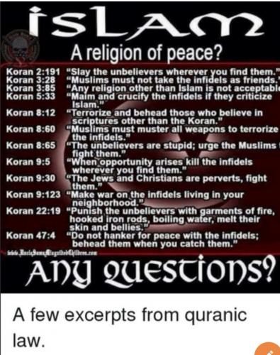 Screenshot_20210912-140018_SafeChat