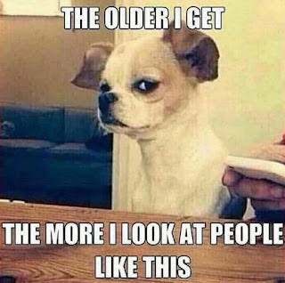 1 (100)