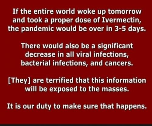 Screenshot_20210916-120341_DuckDuckGo