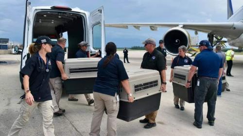 53292862-412E-4F38-B97E-72A8274ECCF5