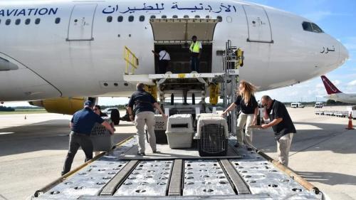 CAC7C4F2-C92F-44E0-8385-ECFEC0150006