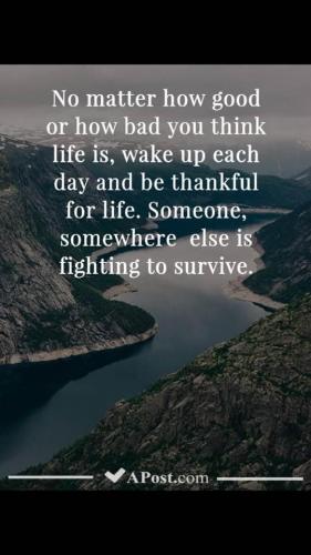 F8C15AC6-DF13-464F-B07F-02351111A3B3