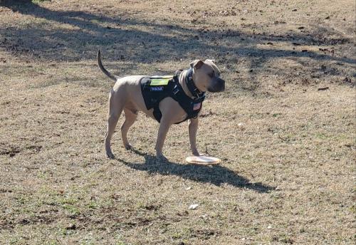 IMG_20210111_145355_892