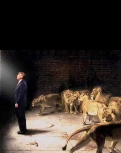 photo_2021-06-11_19-20-46