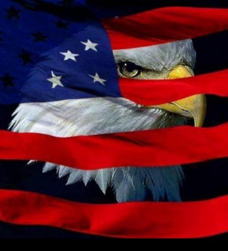 Screenshot_20210923-000538_Gallery