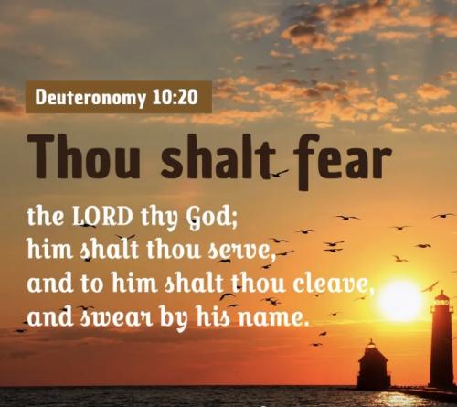Deuteronomy 10:20