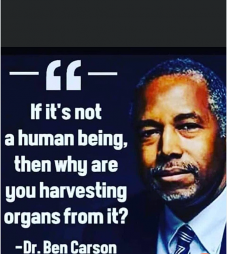 Screenshot_20210910-164255~2