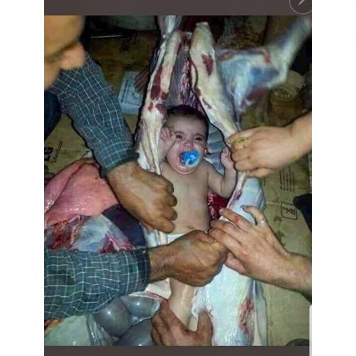 AdobePhotoshopExpress_2020-02-22_18-32-49-0600