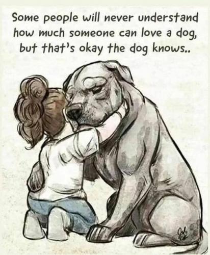 Thats ok the dog knows