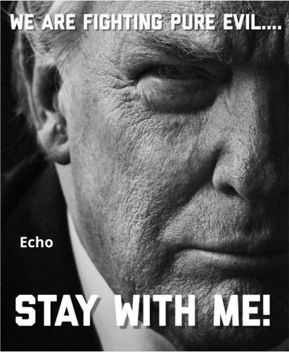 C0AA11DD-CA60-426F-9BB0-D7BA9C294FA8