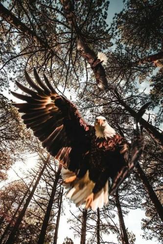 DD30AFE5-3E3E-453E-8E9C-9686D02609A6