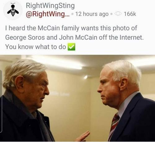 rightwing sting 12462462468937195792345