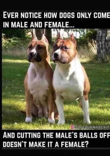 7AFF28AB-3FF4-4D36-B7A3-B62EAD4C878B