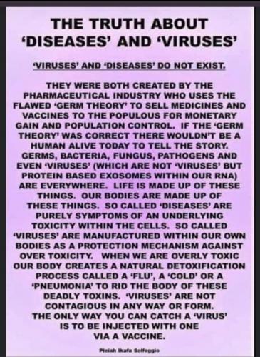 THE TRUTH ABOUT VIRUSES
