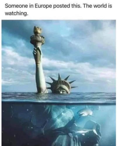 241214529_1231775443963220_3235744488076331435_n