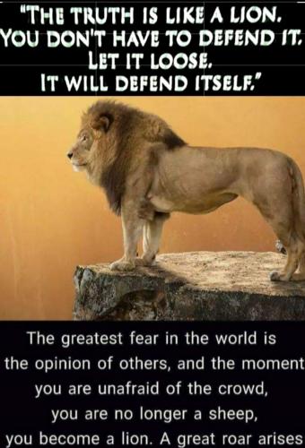 Screenshot_20210908-151453_Gallery