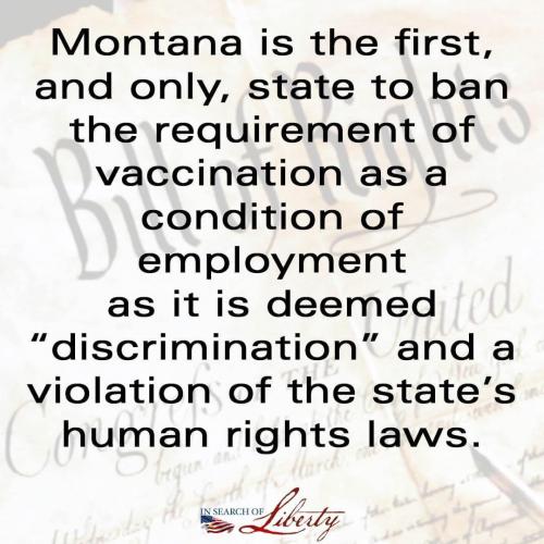 0FBC27D8-2507-4895-B1B7-7FAC65F4CEB7