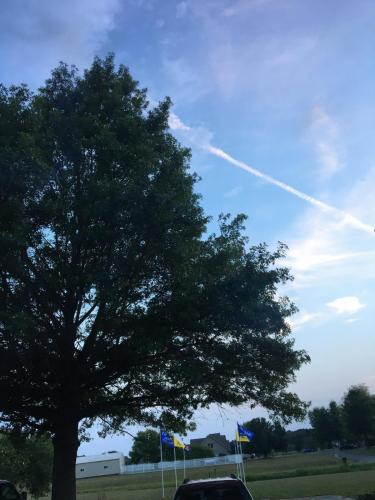 DB8CEC43-5338-4F01-B7BB-D1783E64C1CA