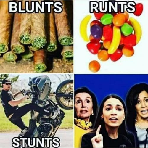BluntsRuntsStunts1
