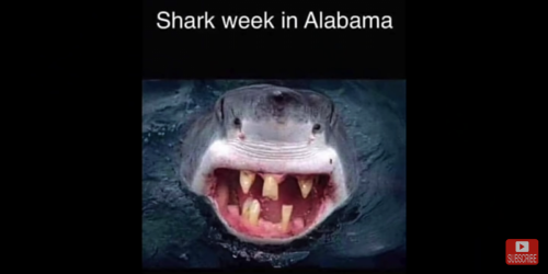 Screenshot_20210921-210951