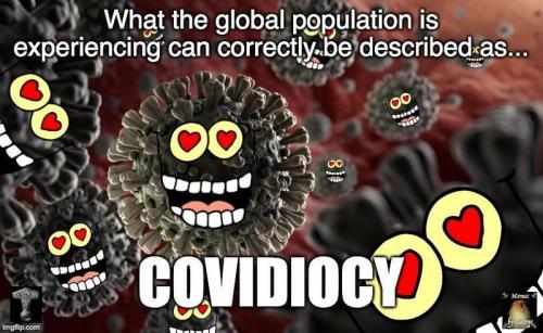 covidiocy