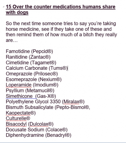 horse medicine ivermectin