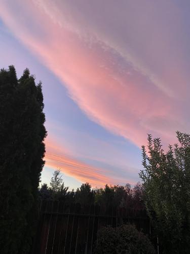 9967CD7C-9C00-4ACB-91A5-9D91B1564663