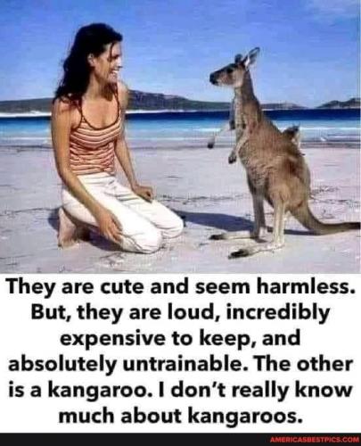 THEY ARE CUTE SEEM HARMLESS