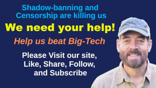 Help us beat big tech2