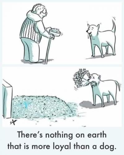 E26C902C-17CB-49B5-8A21-A84976FDA573