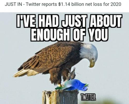 American eagle pecks twitter