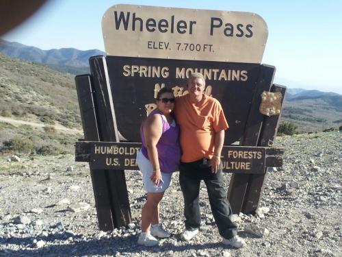 59523970_2385786558107784_1315175683898474496_n