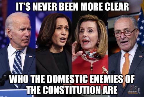DomesticEnemies