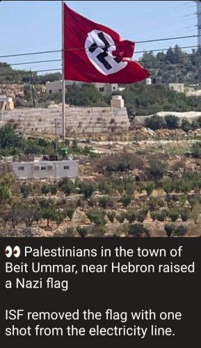 Based sand niggers raise Nazi flag over Palestine