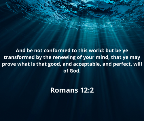 3F3254D0F53426CCF39DBCEC20FC0699.bible122