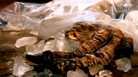 9AEC224C-03A1-4AF4-B3C2-97DA490368E5_4_5005_c