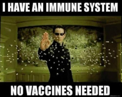 no vaccines needed