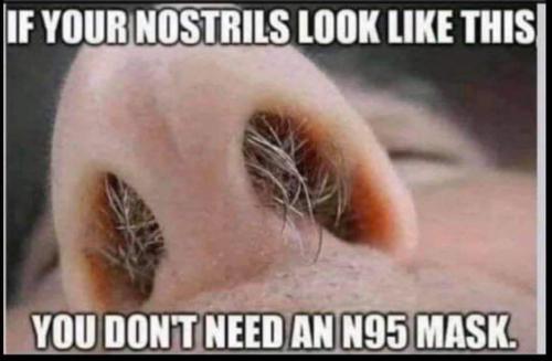 FB_IMG_1630774729828