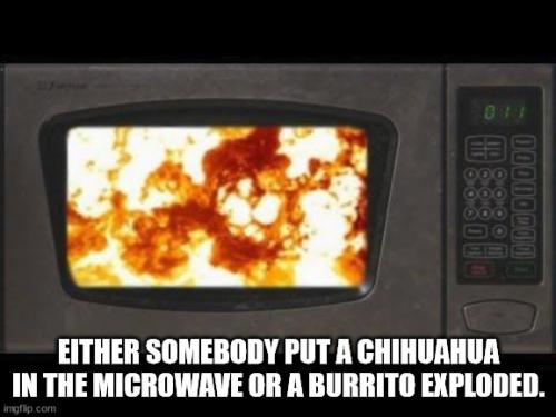 microwave-disaster
