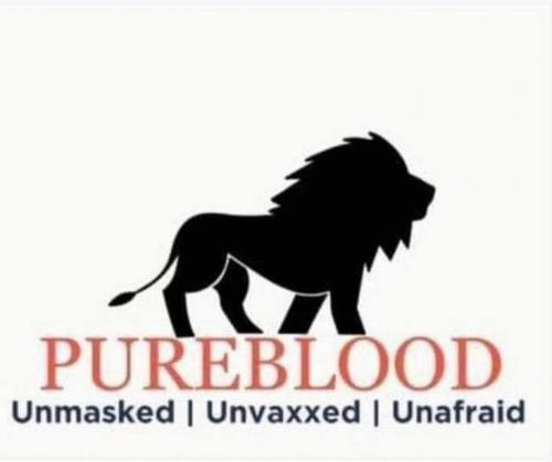 A19E40FD-B449-4AC3-BBC2-2BBB09C696DE