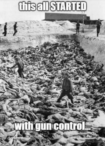 M gun control