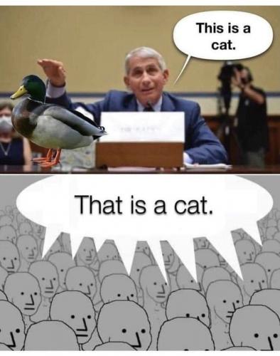 photo_2021-09-16_13-34-43