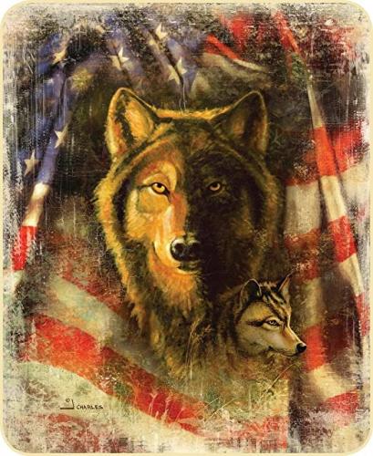 81jsBW6Sv3L._AC_SX522_