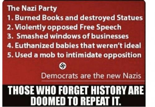 THE NAZI PARTY