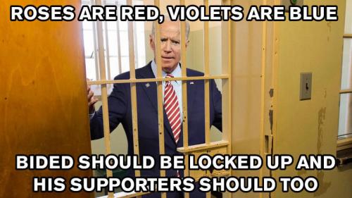 roses aree red