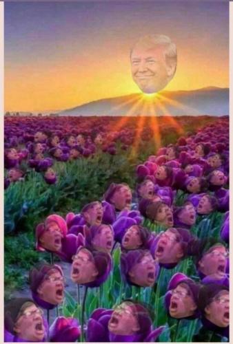 photo_2021-09-24_22-47-42