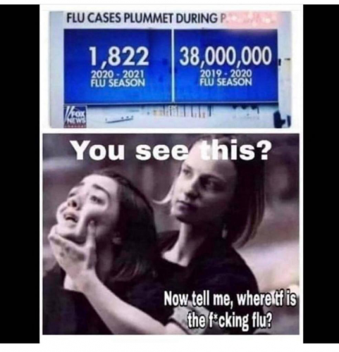 flu deaths