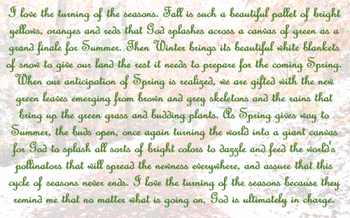 I love the turning of the seasons
