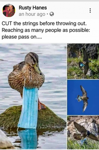 Screenshot_20210929-174046