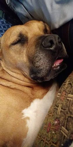 received_3753027944823200